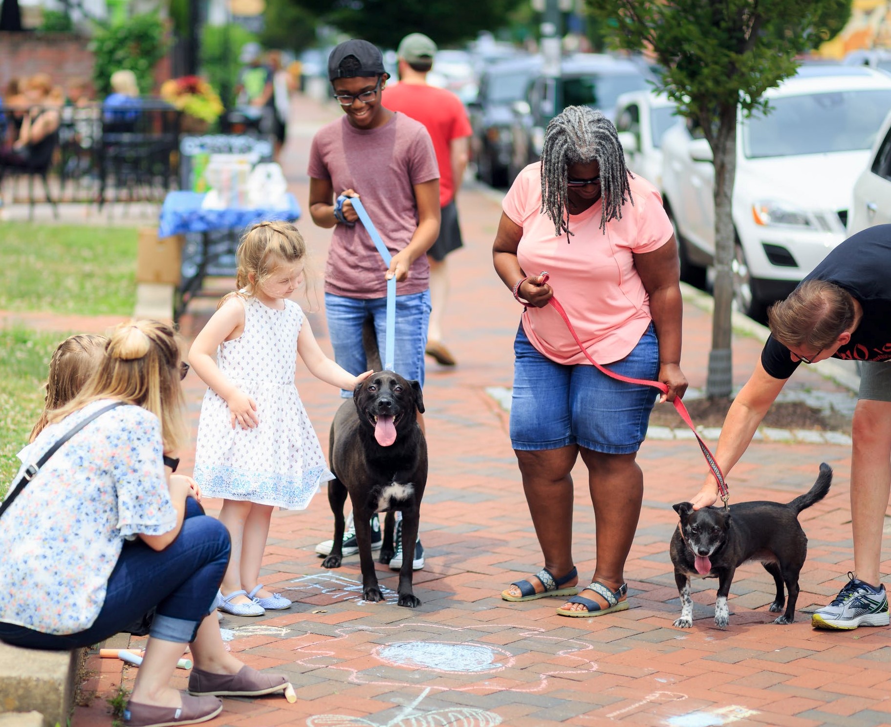 Group of people and dogs