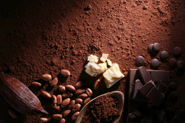 Chocolate bars and cocoa beans on top of cocoa powder background