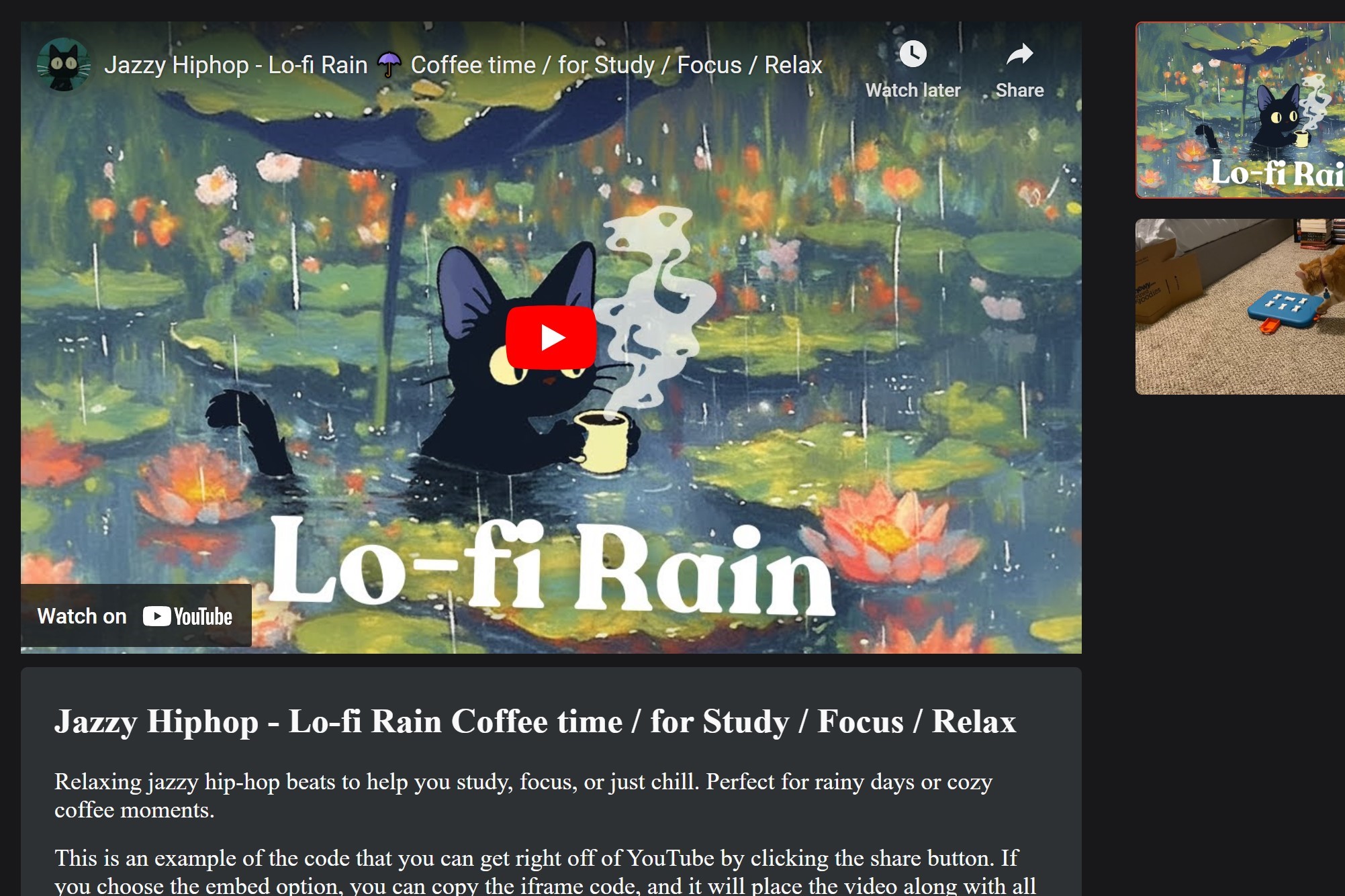 Screenshot of a YouTube video titled 'Jazzy Hiphop - Lo-fi Rain Coffee time / for Study / Focus / Relax.' The video features an animated black cat wearing a blue scarf, drinking coffee in a rainy, lily pad-filled pond. Another paused video thumbnail is visible on the right side.